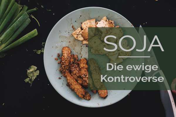 Tofu und Tempeh auf einem Teller